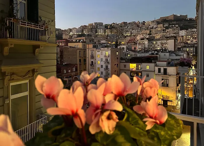 Insogno Suites